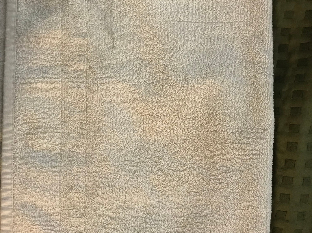 Sumner Motor Inn主图