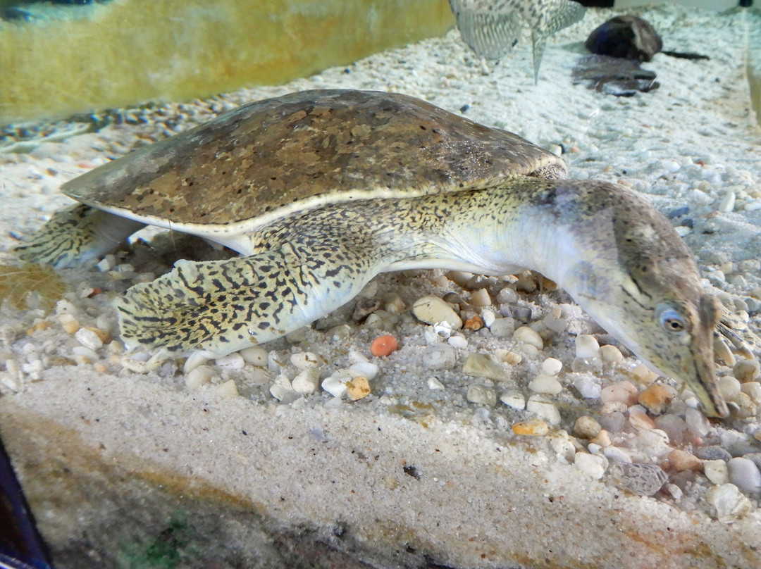 New York State Zoo at Thompson Park-Watertown必去景点