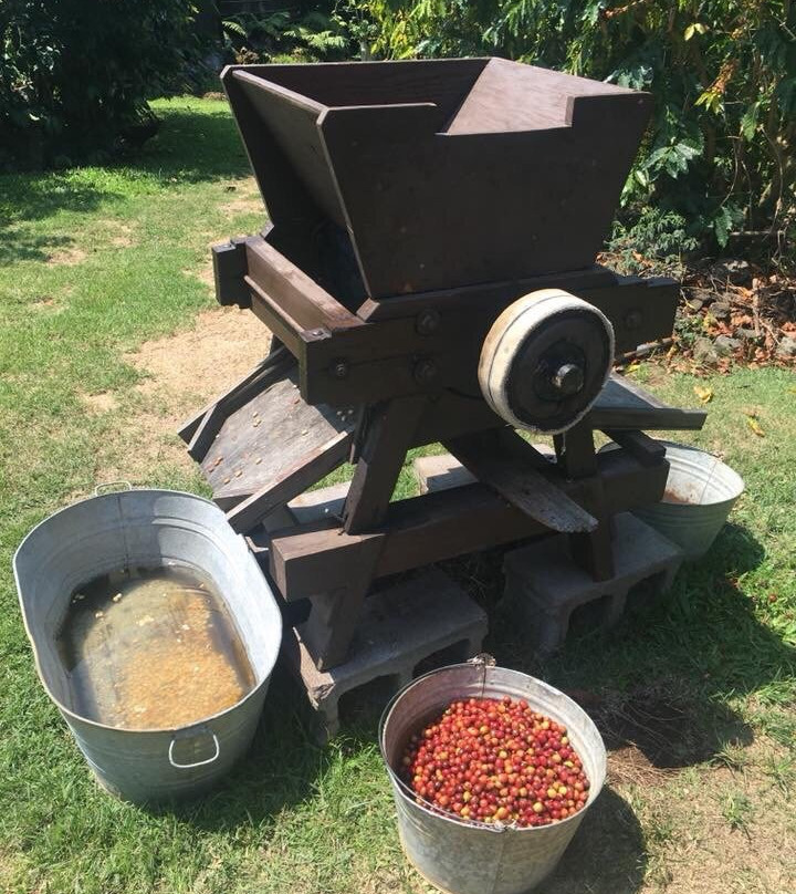 科纳咖啡历史农园-库克船长必去景点