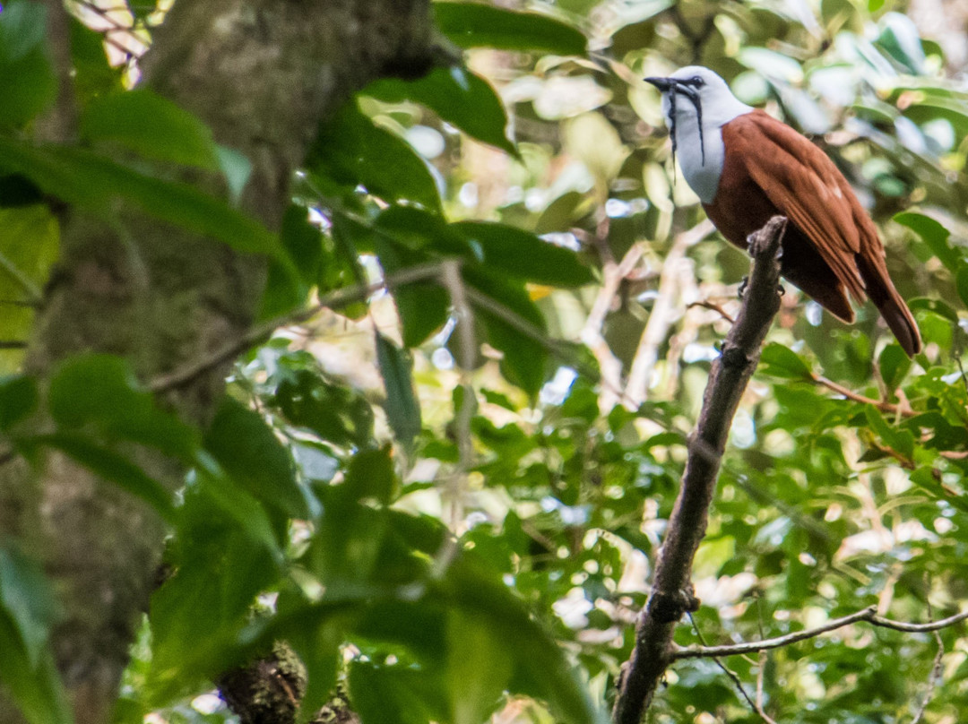 Guides of Monteverde-蒙特沃德必去景点