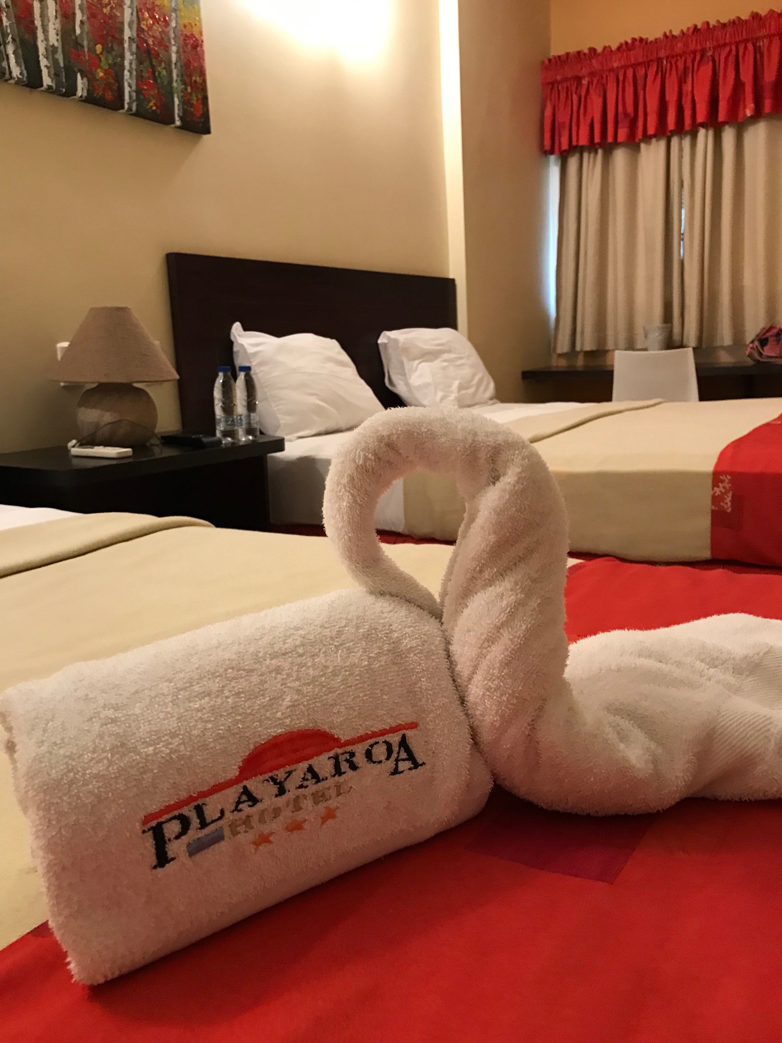 Hotel Playaroa-官方