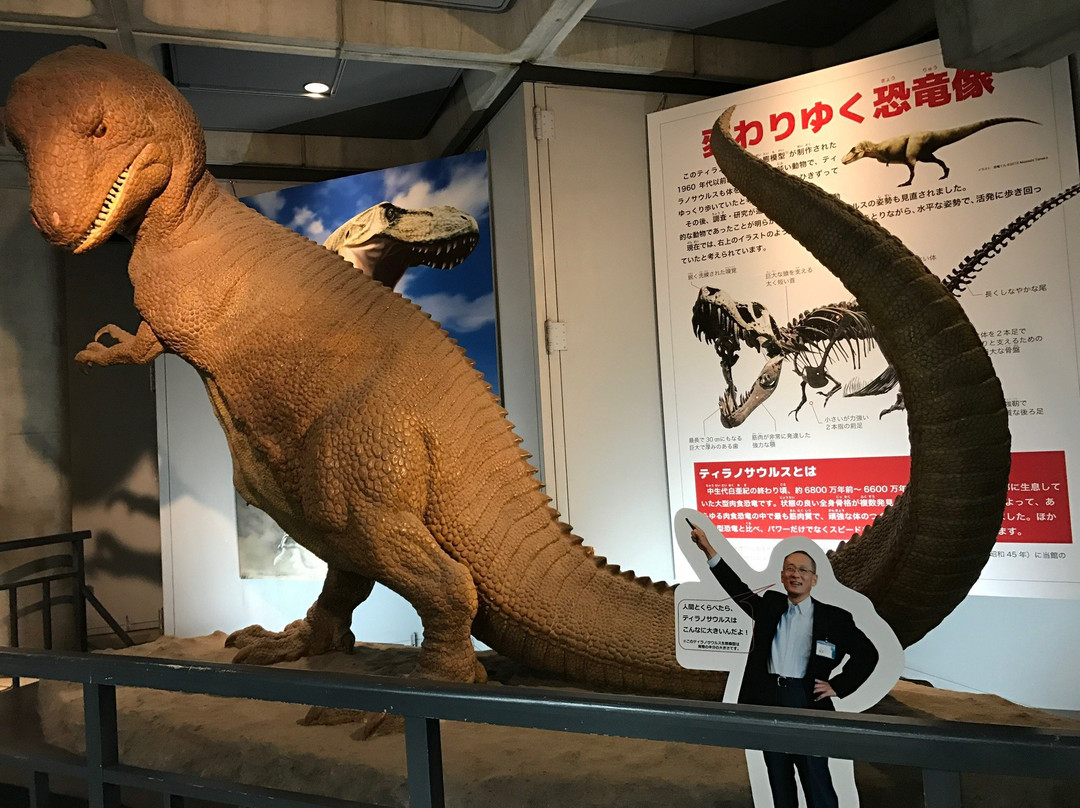 Saga Prefectural Museum景点图片