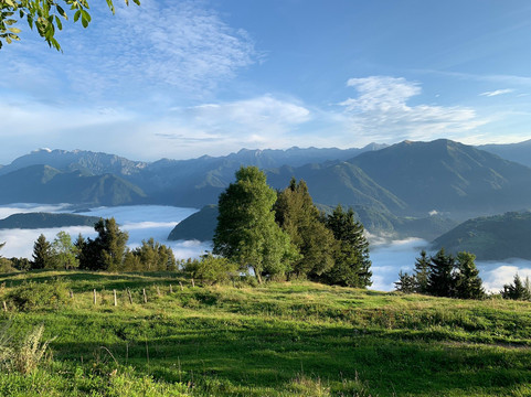 斯鲁库农可乐主图