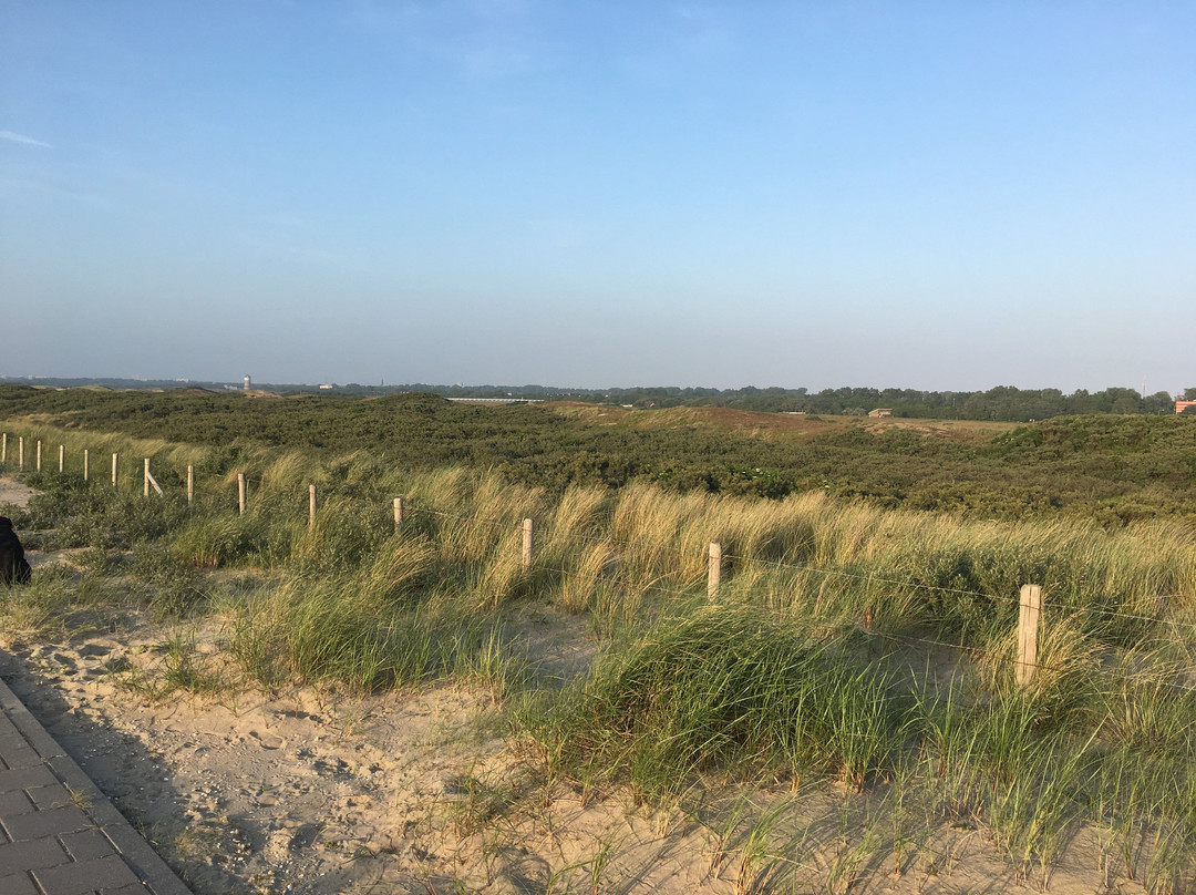 Monster旅游攻略图片