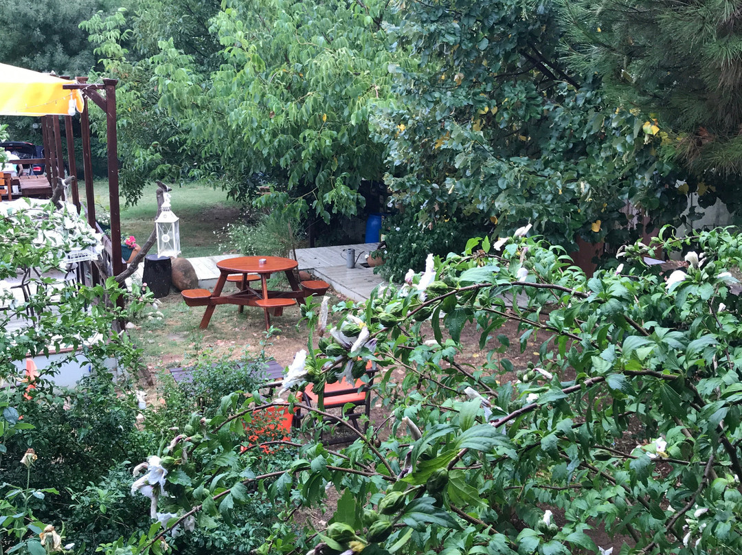 Siginak Hotel & Restaurant主图