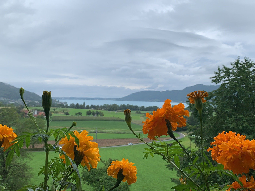 Bauernhof Schustergut主图