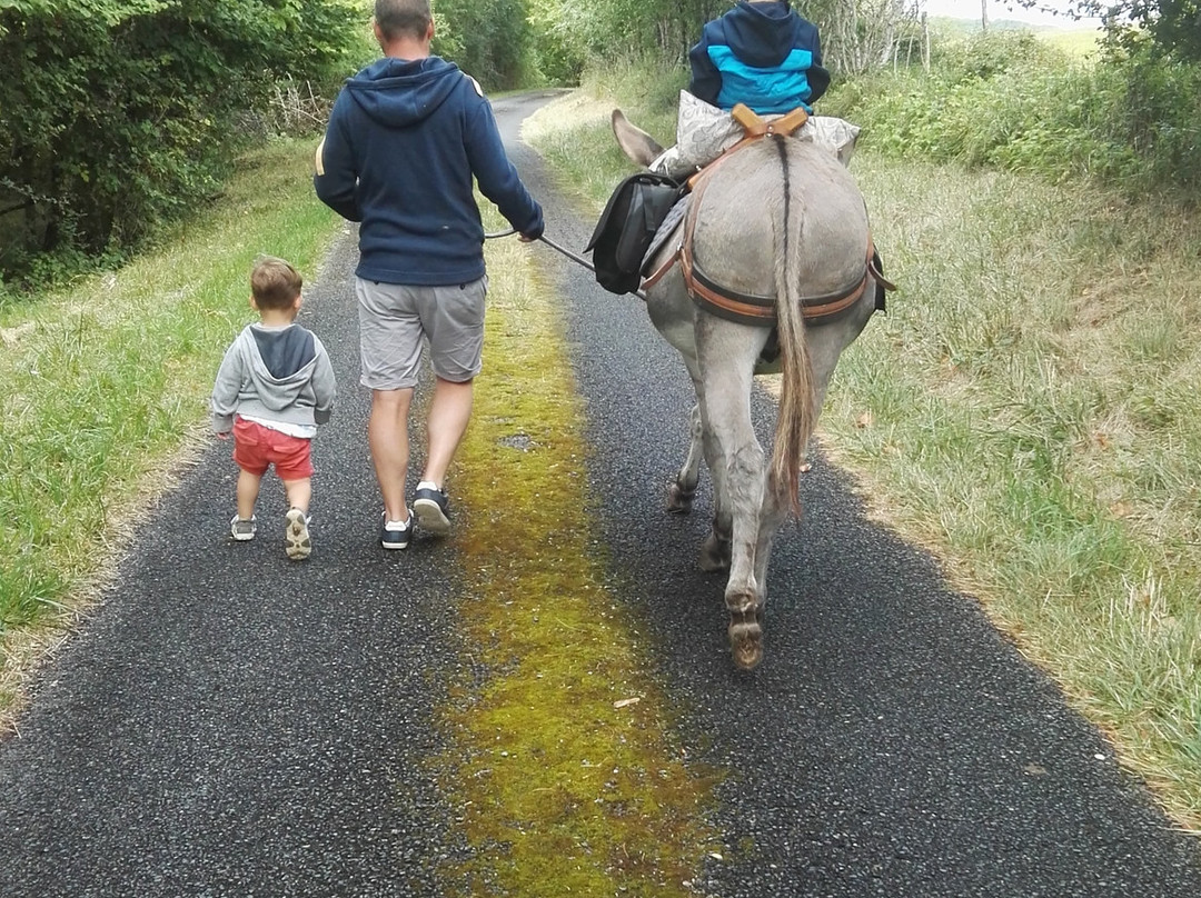 Au pas de l'âne-Les Eyzies-de-Tayac-Sireuil必去景点