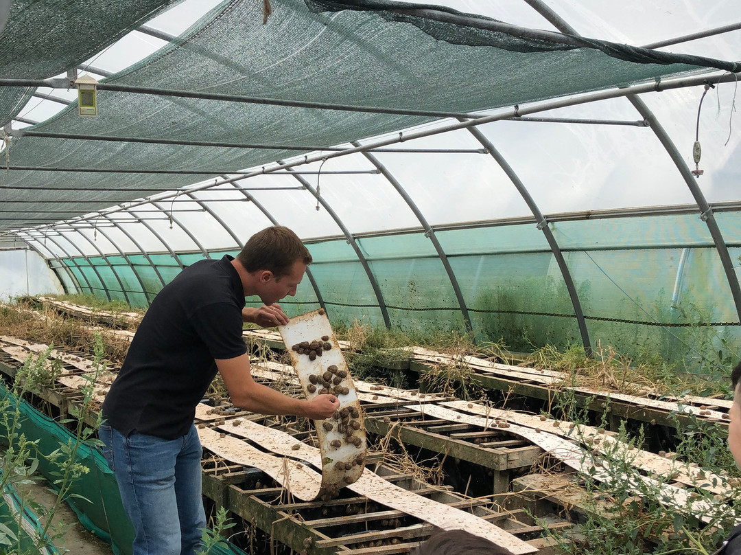 La Ferme aux Escargots景点图片