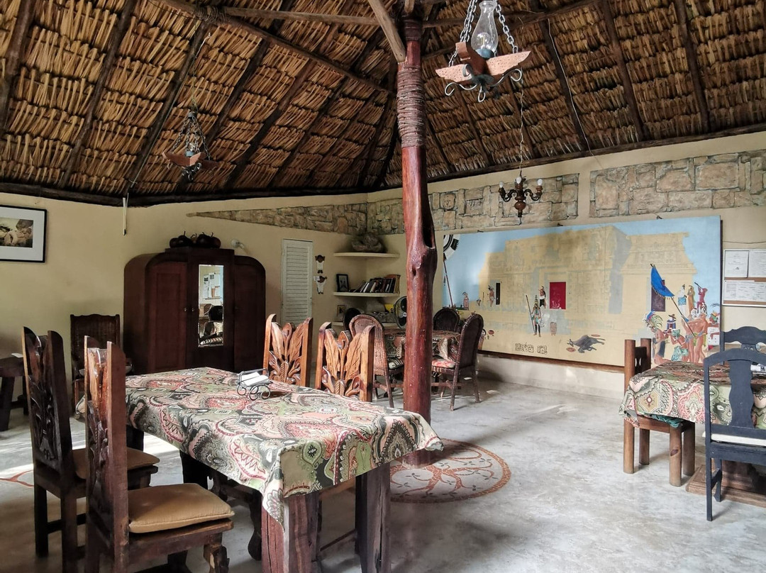 Genesis Eco Oasis主图