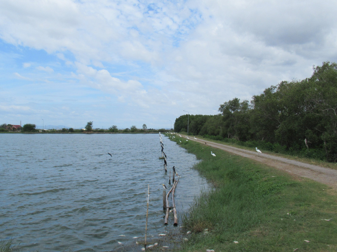 Laem Phak Bia Environmental Research and Development Project景点图片