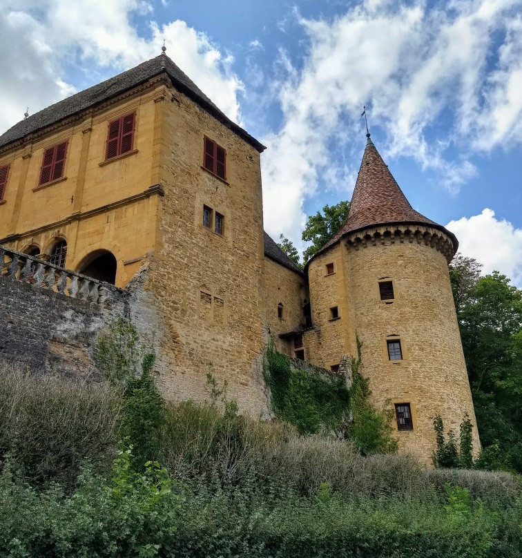 Chateau de Jarnioux景点图片