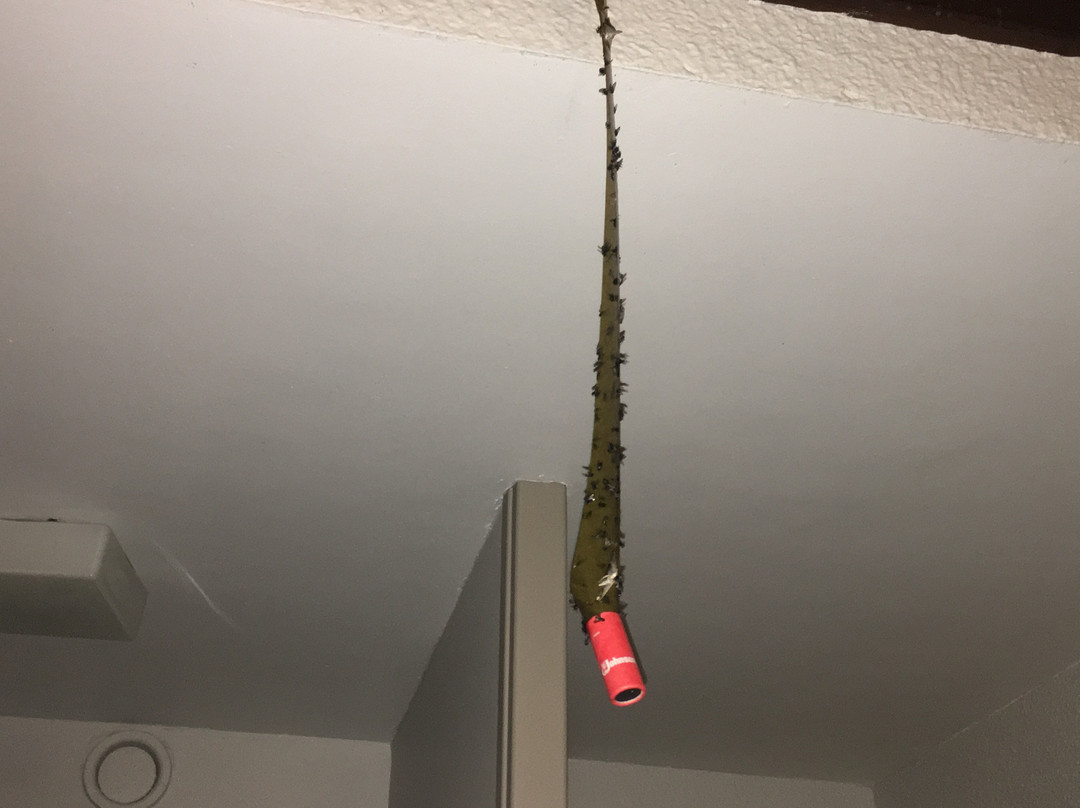 穆林德苏尔尼亚酒店主图
