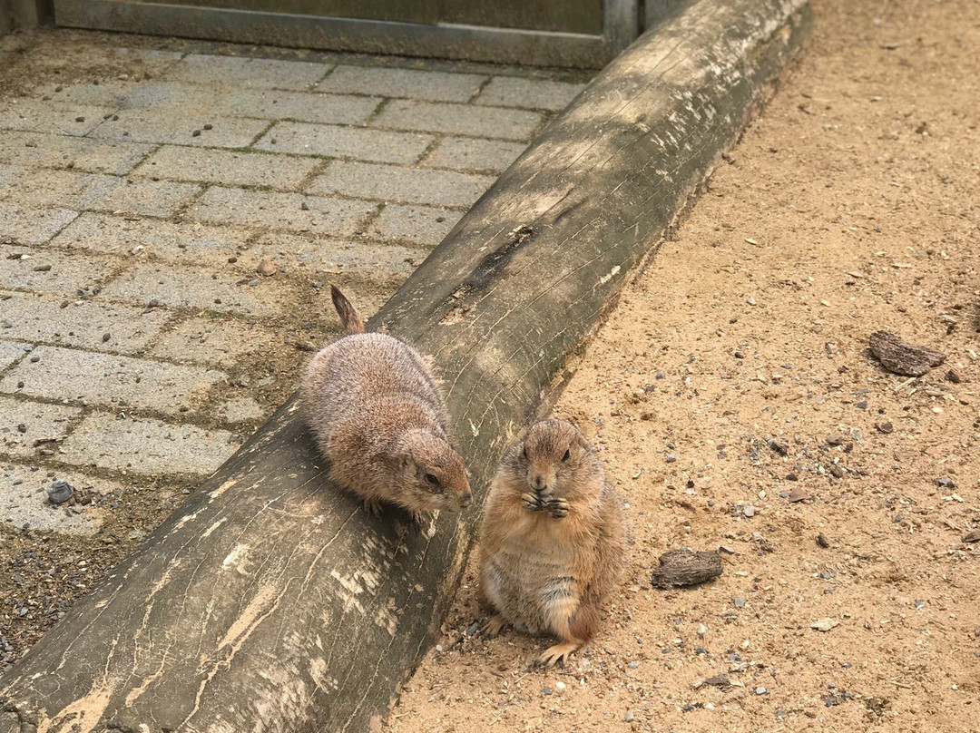 Tierpark Alsdorf景点图片