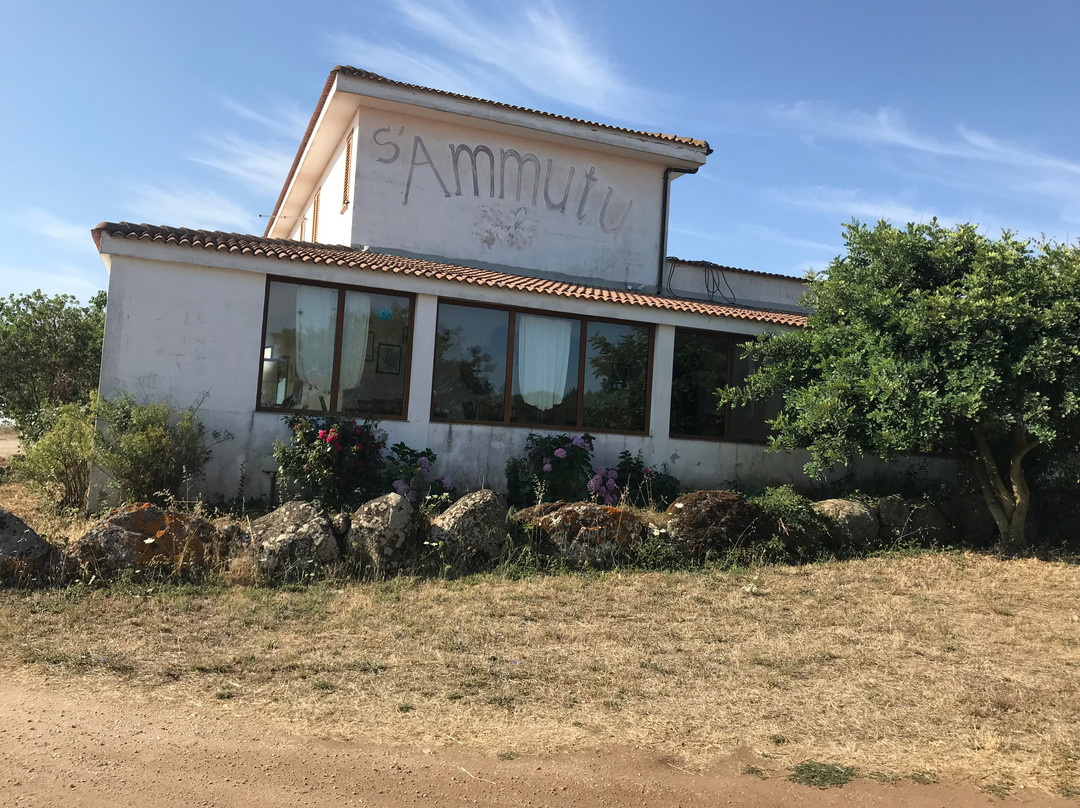 Agriturismo S'Ammutu主图