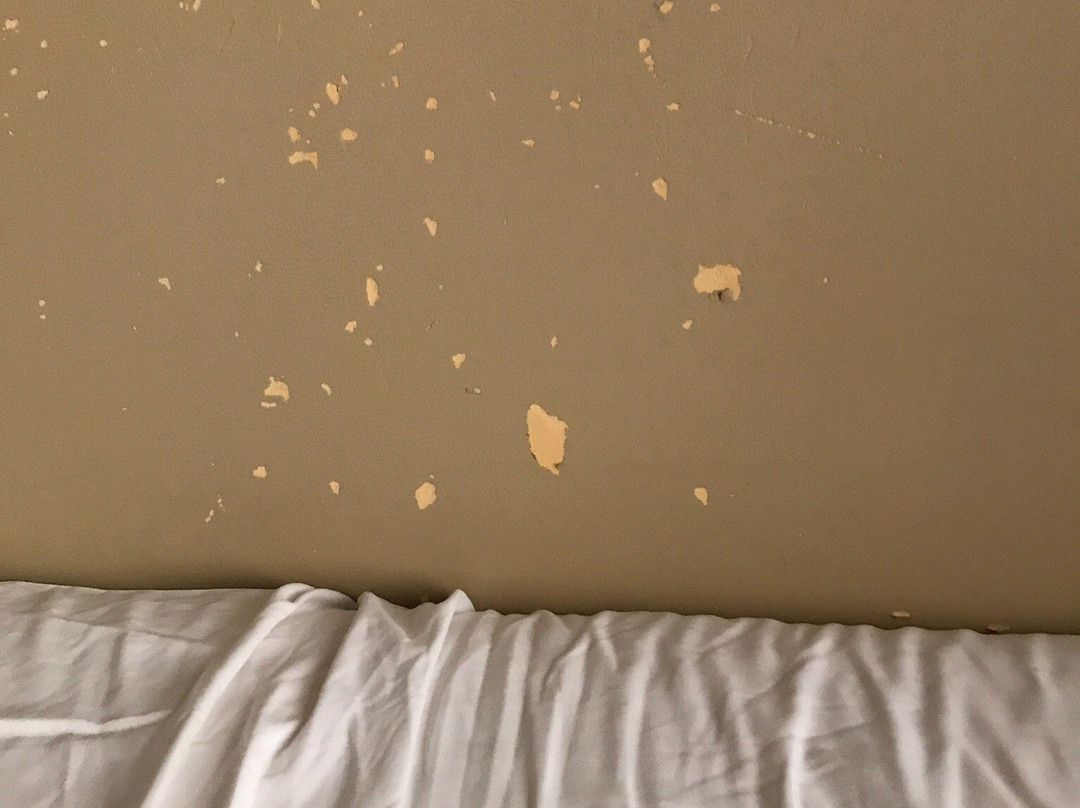 Hotel Trapani In主图