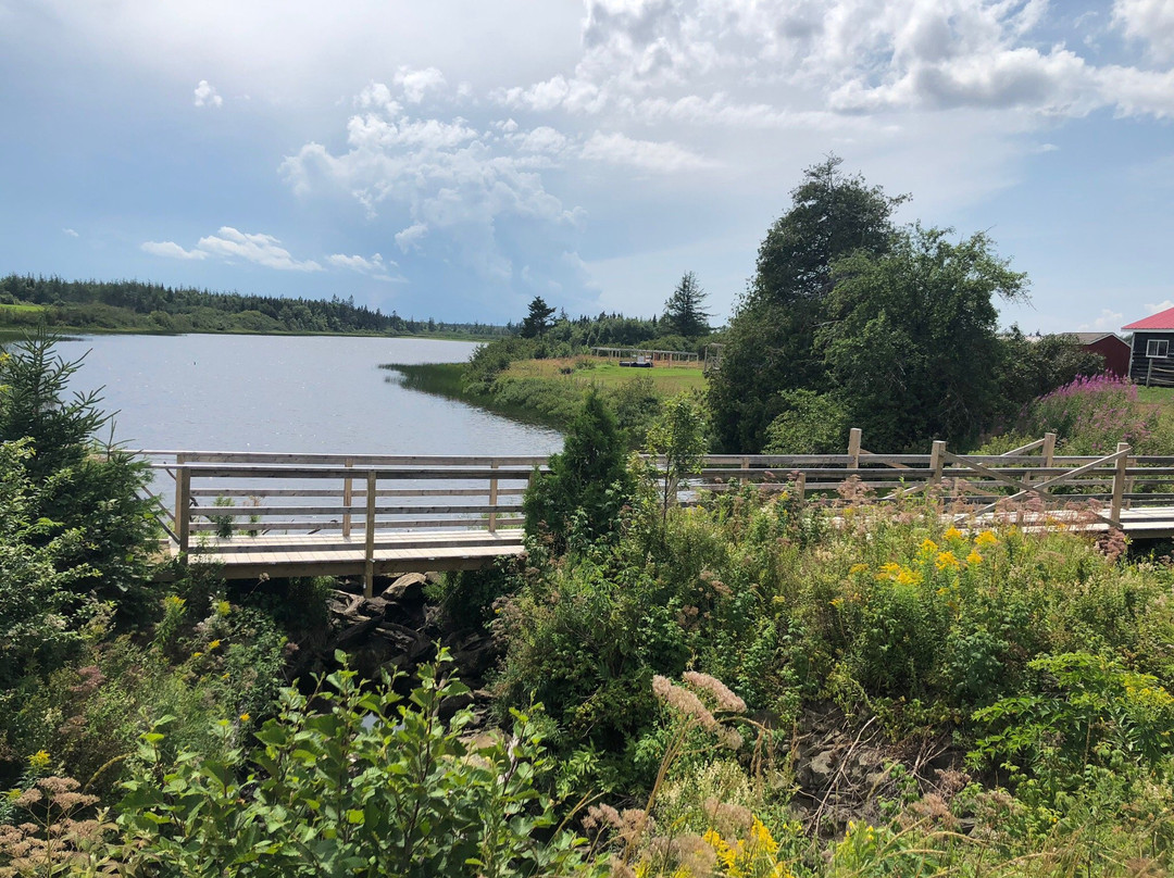 Trueman Blueberry Farms-Aulac必去景点