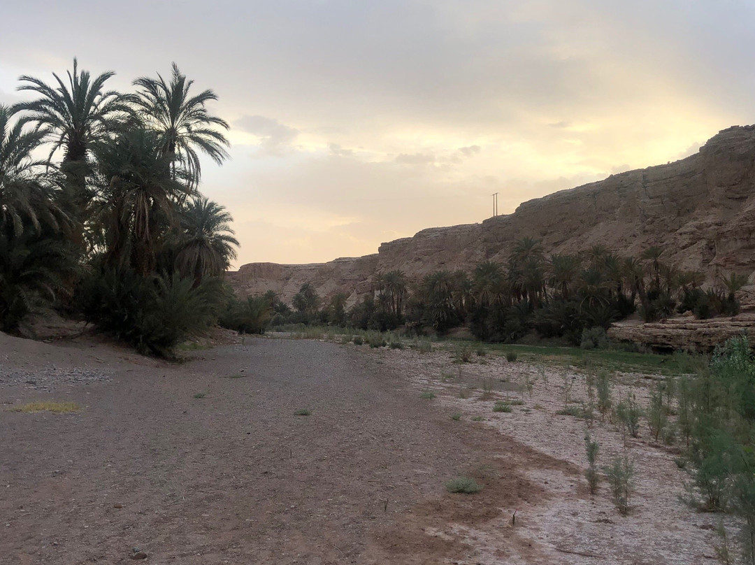 Amoudou Lodge Camp主图