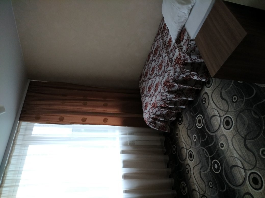 Gostinitsa Tsentral'naya主图