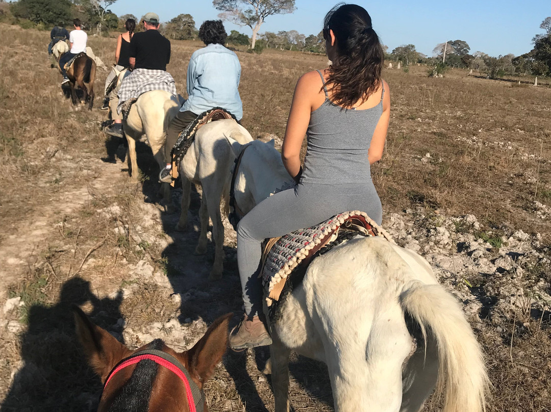 Pousada Canto do Arancua主图