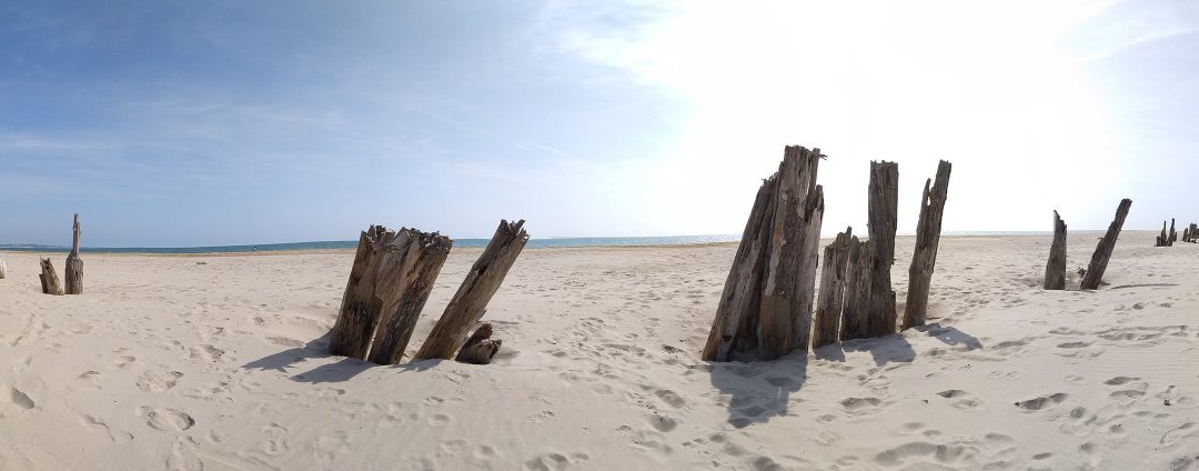 Curracloe Beach景点图片