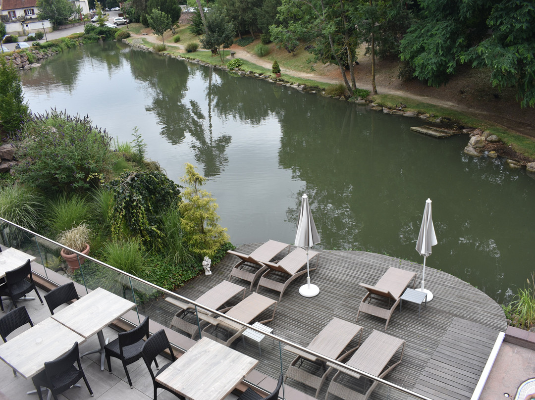 Hotel Spa Restaurant Domaine Du Moulin主图