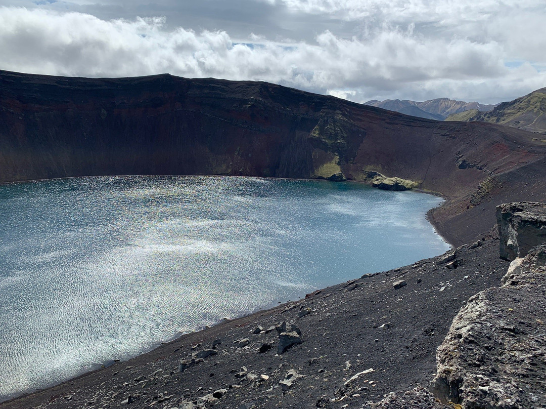 MudShark Tours-海拉必去景点