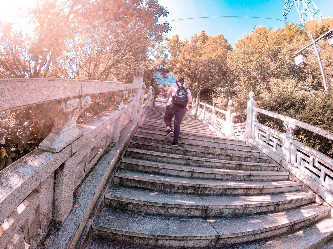 台州白云山景点图片