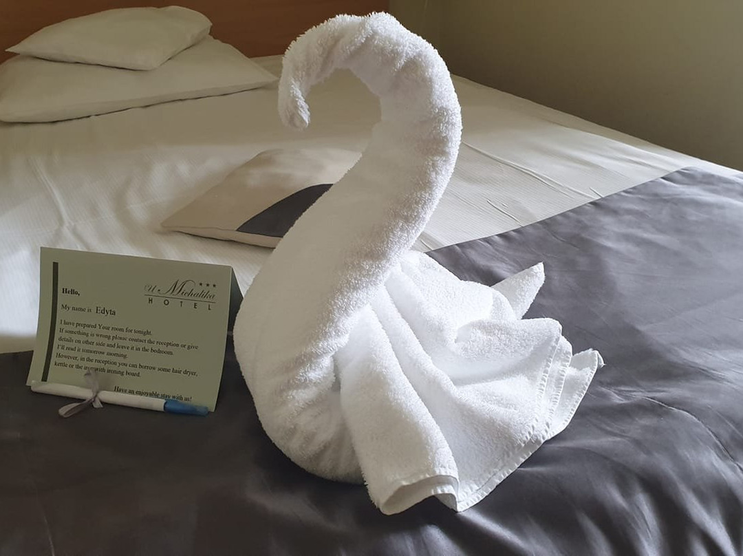 Hotel u Michalika主图