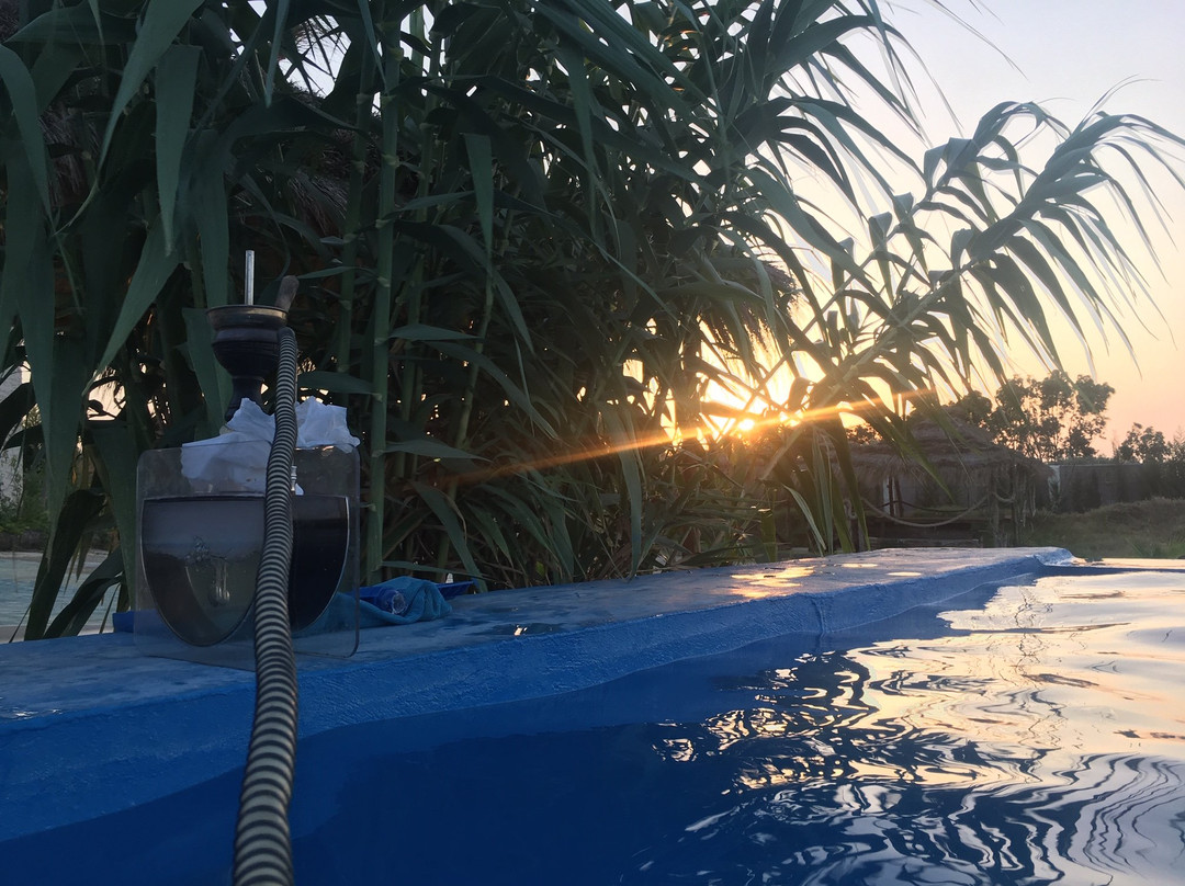 Zembretta Farm-Zembrettita主图