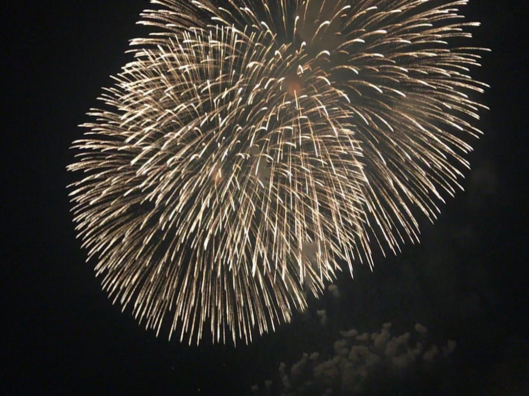 Kuwana Suigo Fireworks-桑名市必去景点
