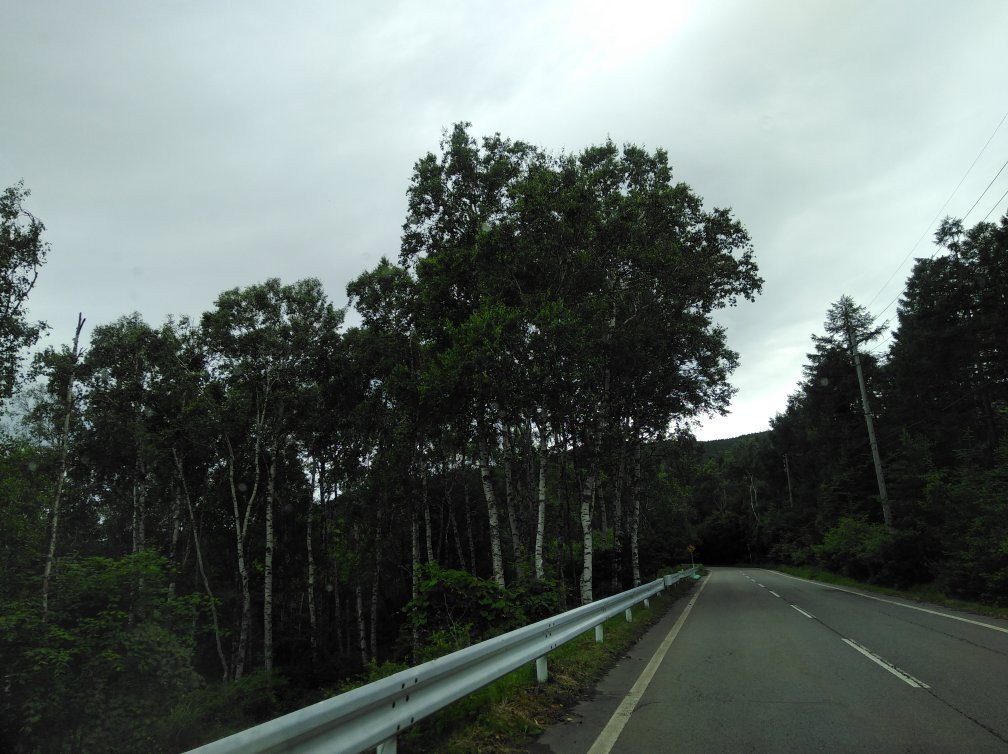 Merchen Highway-茅野市必去景点