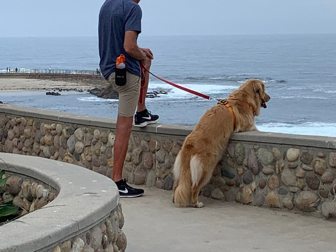 Coast Boulevard Park-拉荷亚必去景点