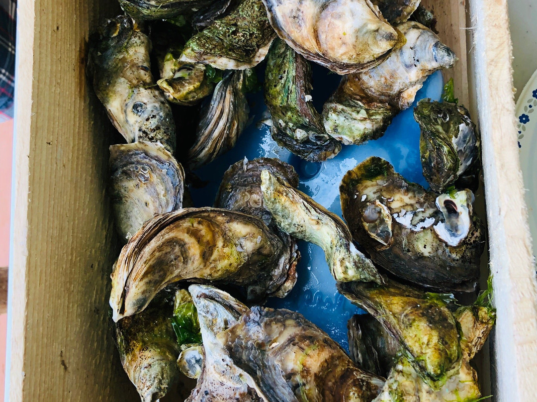 Oyster Lovers Experience-Belfast必去景点