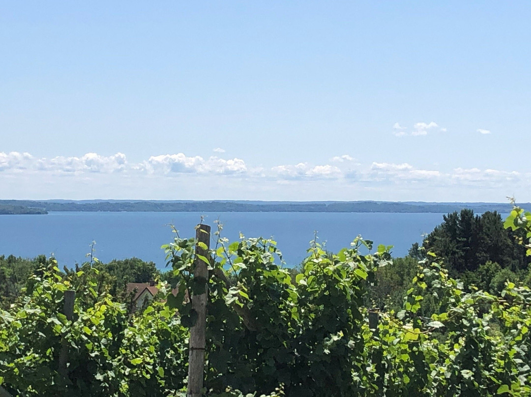 Willow Winery & Vineyard景点图片