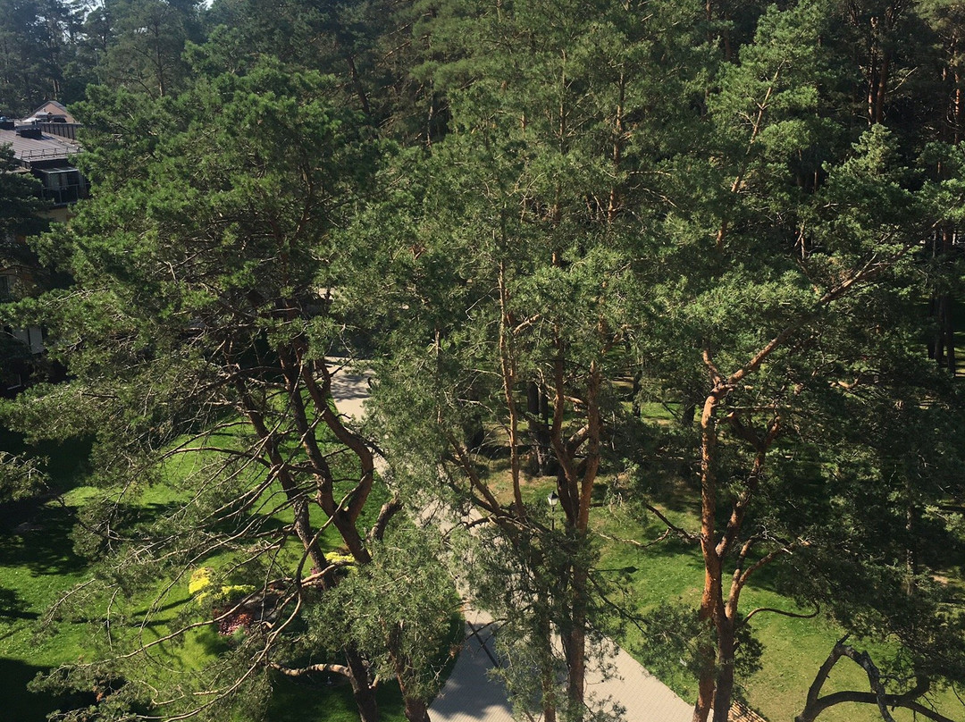 Egles Sanatorija-Birstonas必去景点