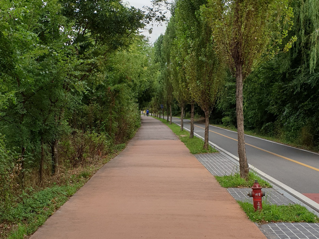 Yeouido Saetgang Ecological Park景点图片