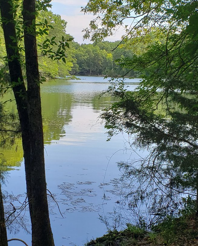 Harrison Bay State Park-Harrison必去景点