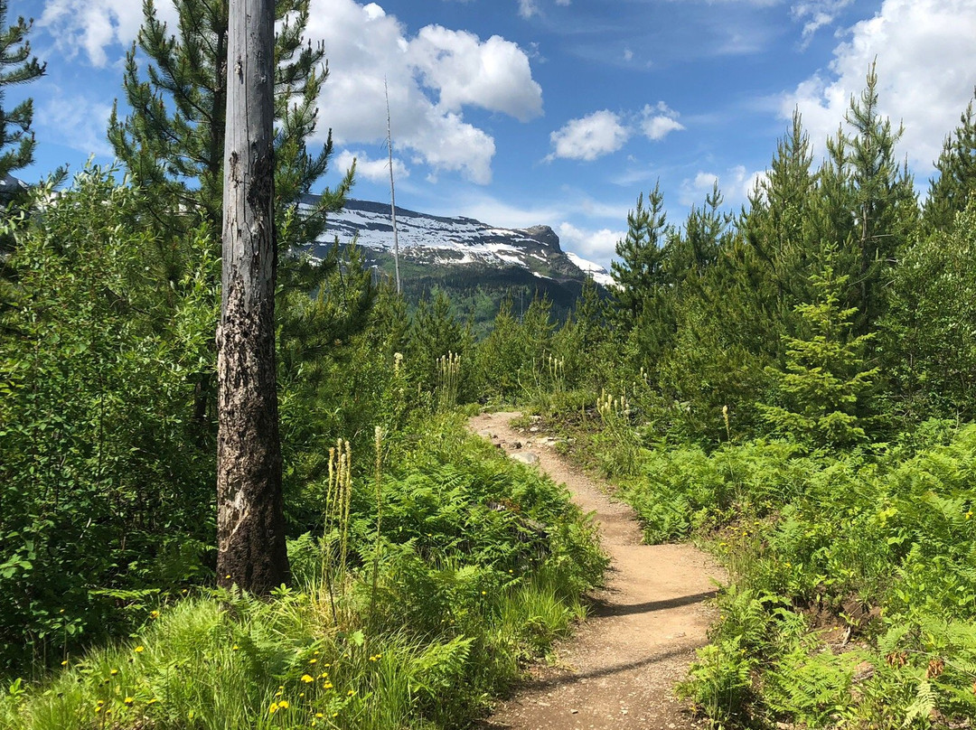 Granite Park Trail景点图片