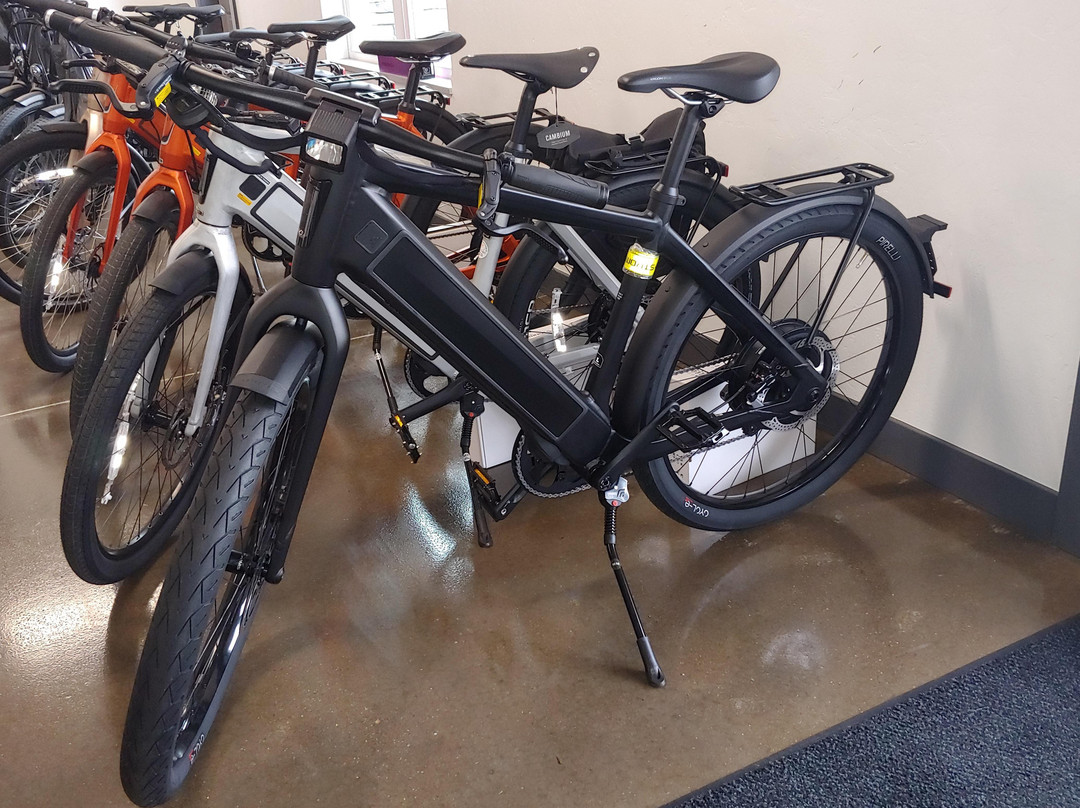 E-Bikes of Holmes County LLC-Mount Hope必去景点