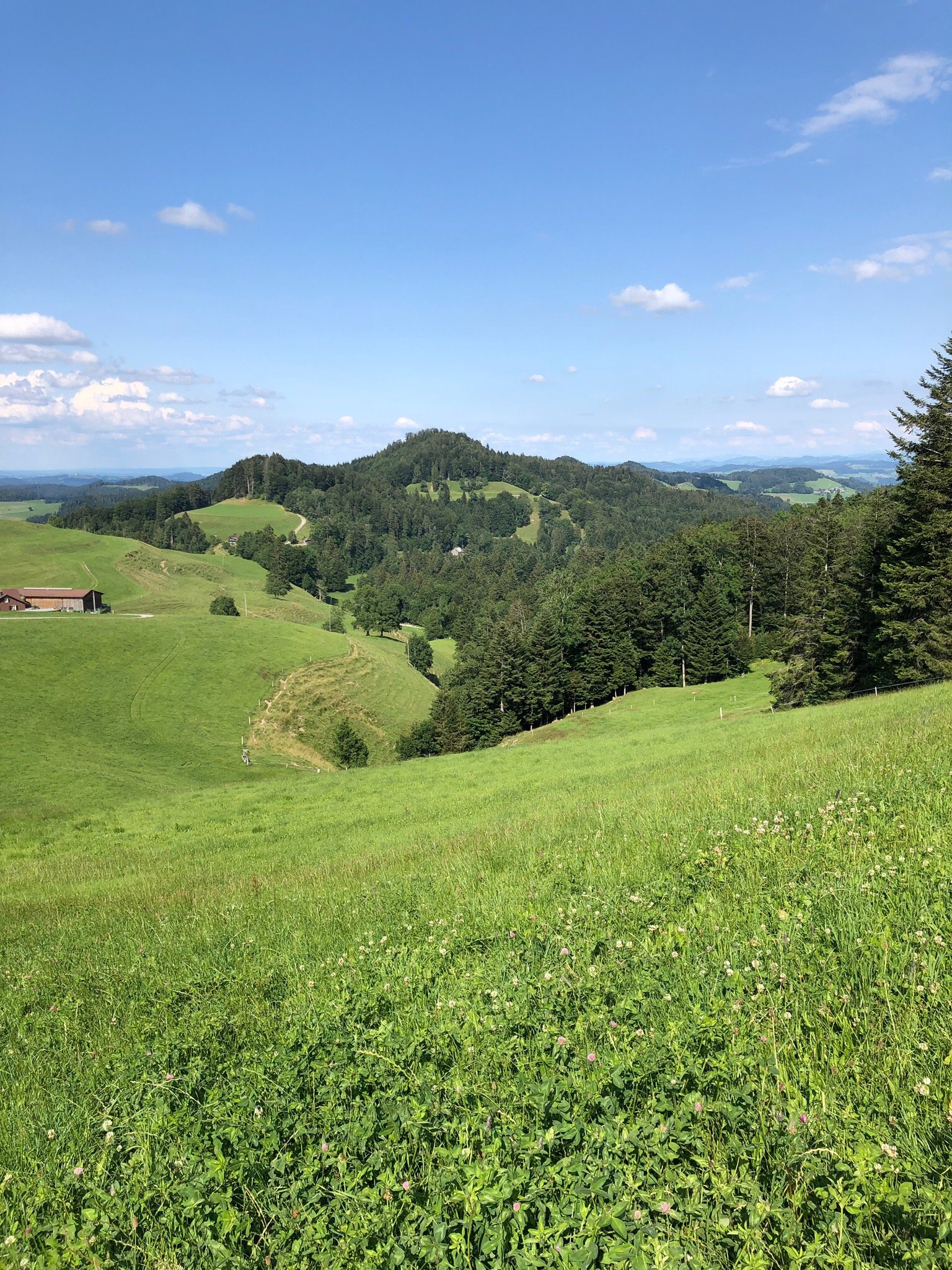 Gasthaus Hulftegg-官方