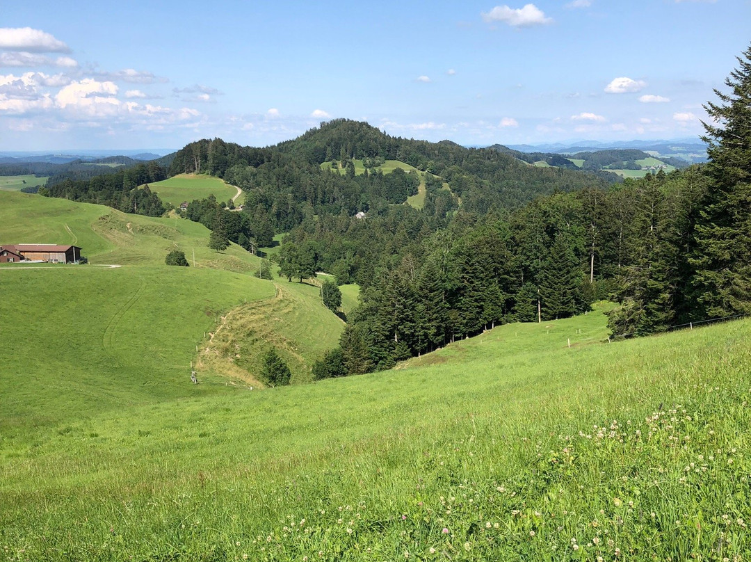 Gibswil旅游攻略图片