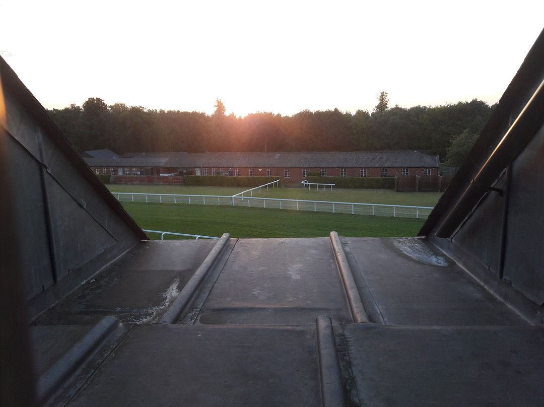 Holiday Inn Express London - Epsom Downs by IHG主图