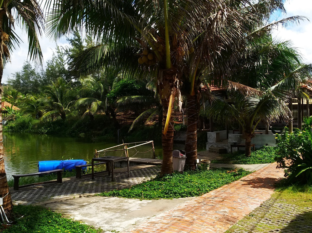 Bau Mai Apricot Beach Resort & Spa主图