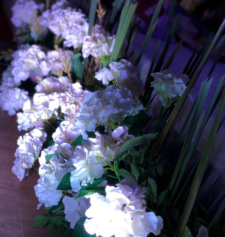 圣罗恩禅修温泉旅馆主图