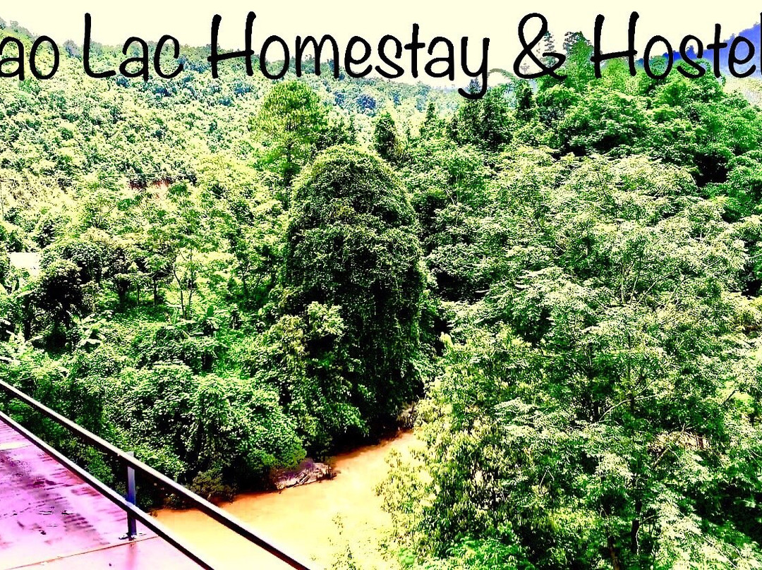 Bao Lac旅游攻略图片