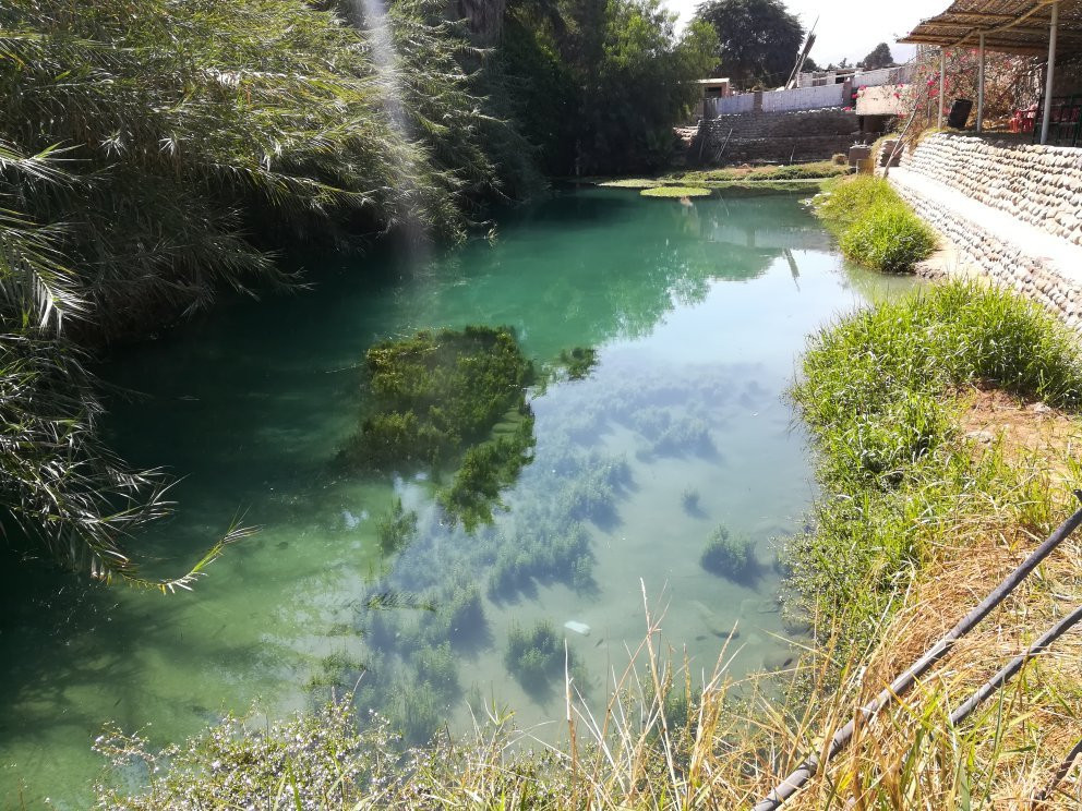 Mantantial La Maquina Palpa主图