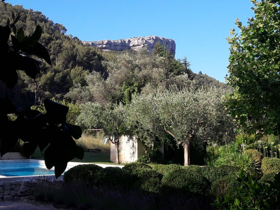 Mas des Pascaux主图