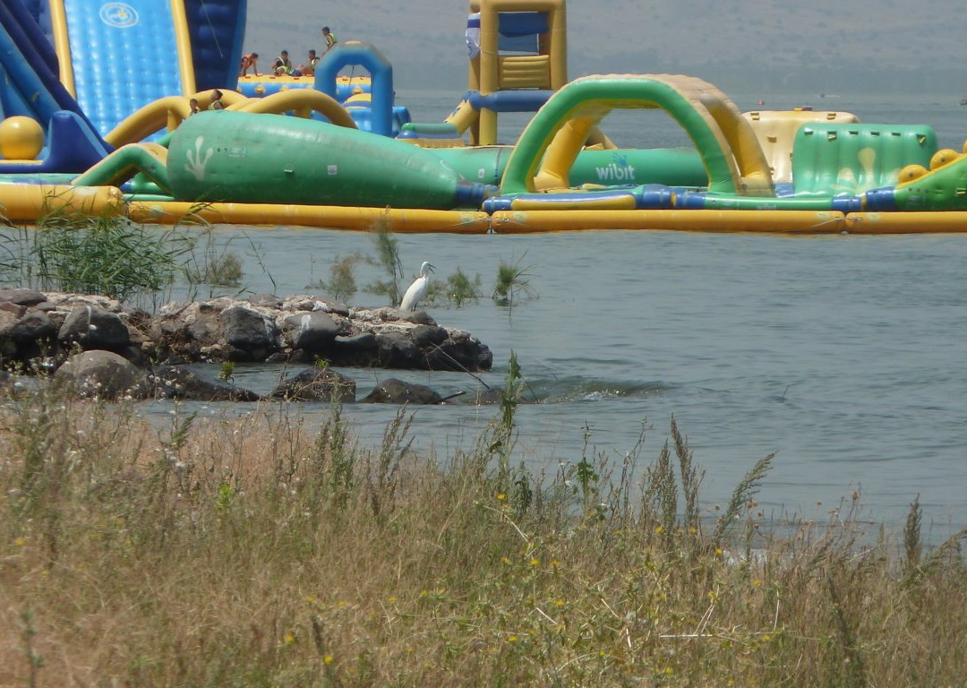 Aqua Kef-提比利亚必去景点