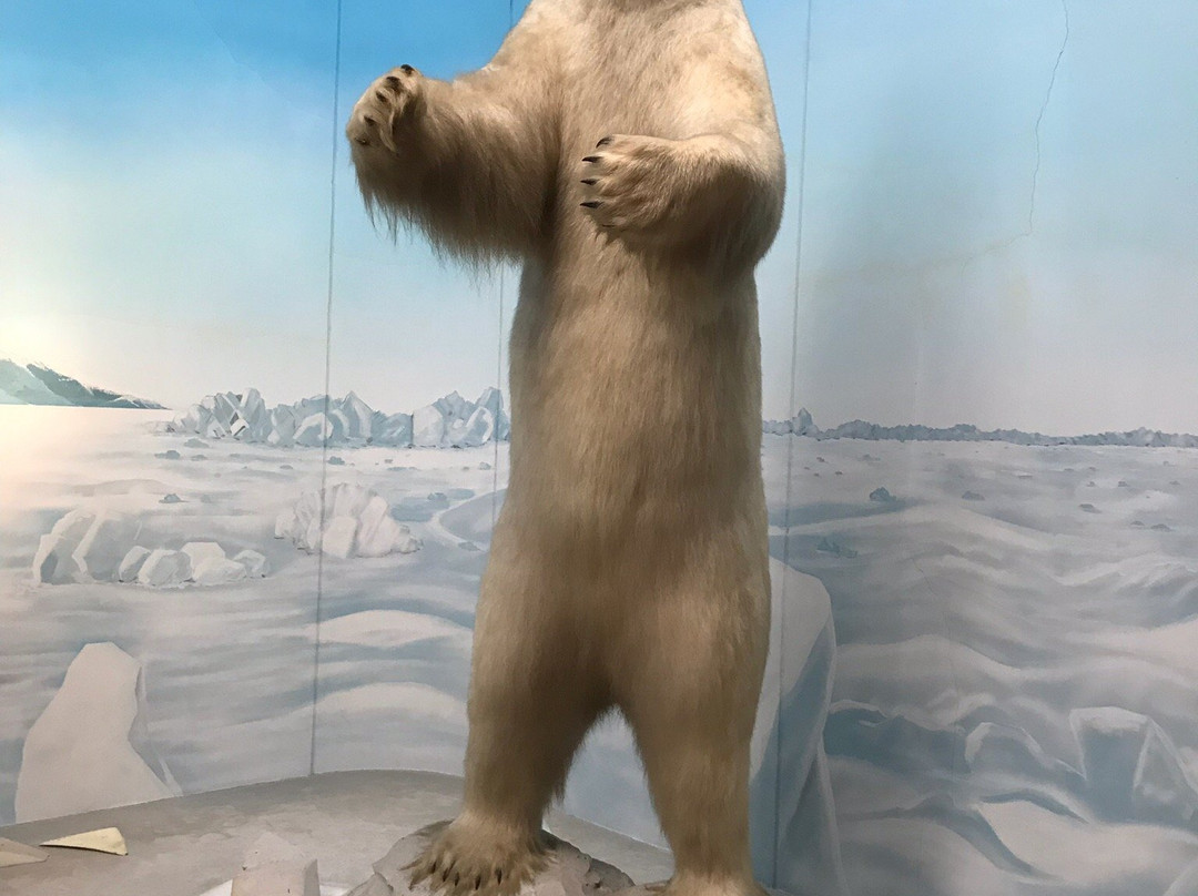 Shiga Safari Museum-甲贺市必去景点