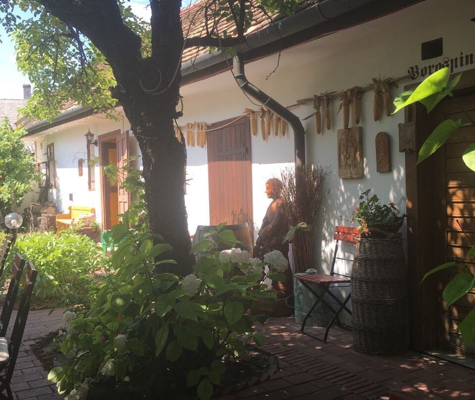 Öreg Prés Boutique Hotel主图